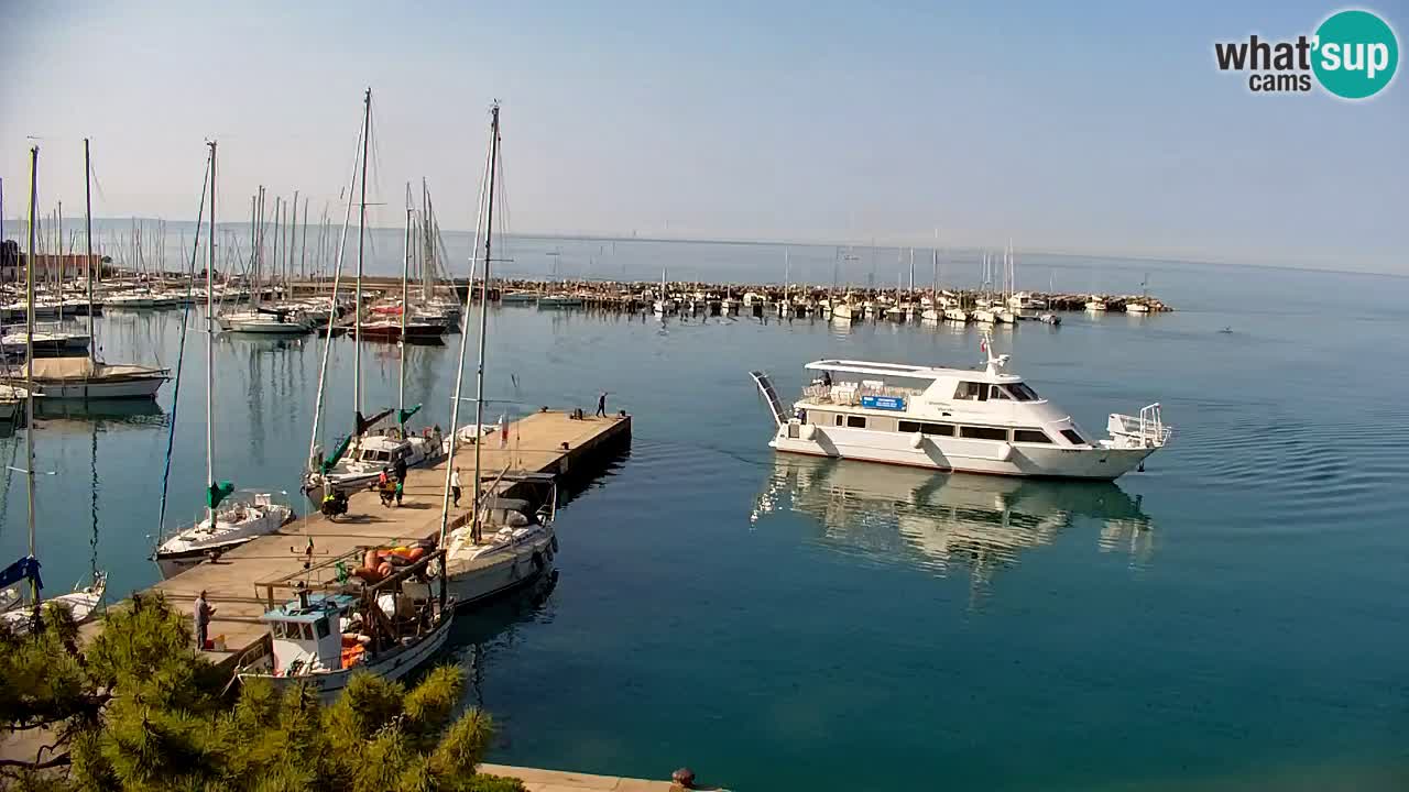 Webcam Sistiana – Vista sulla marina e sulla baia