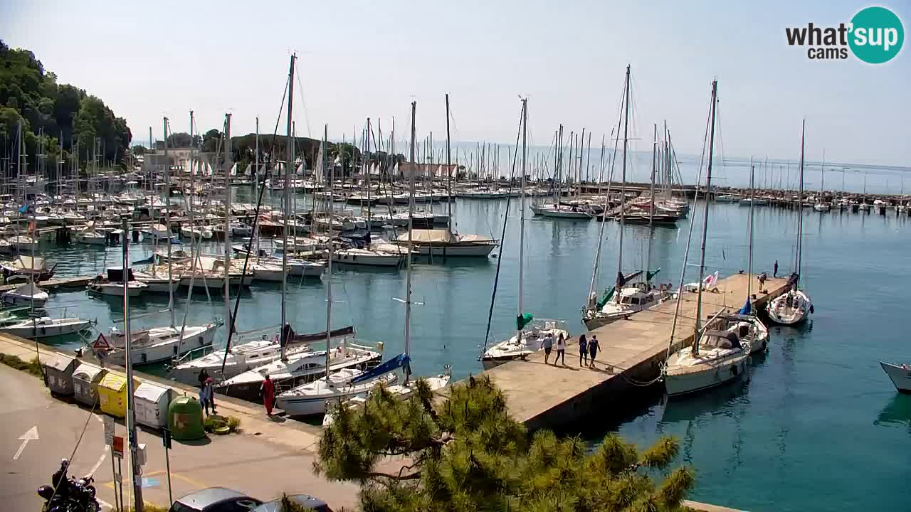 Spletna kamera Sesljan (Sistiana) – Pogled na marino in zaliv