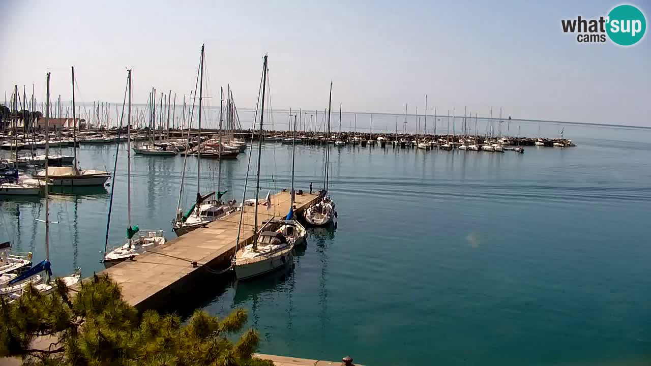 Webcam Sistiana – Blick auf Marina und Bucht