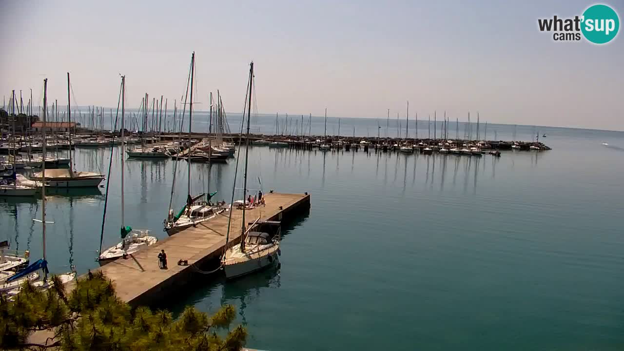 Webcam Sistiana – Marina and Bay Live View