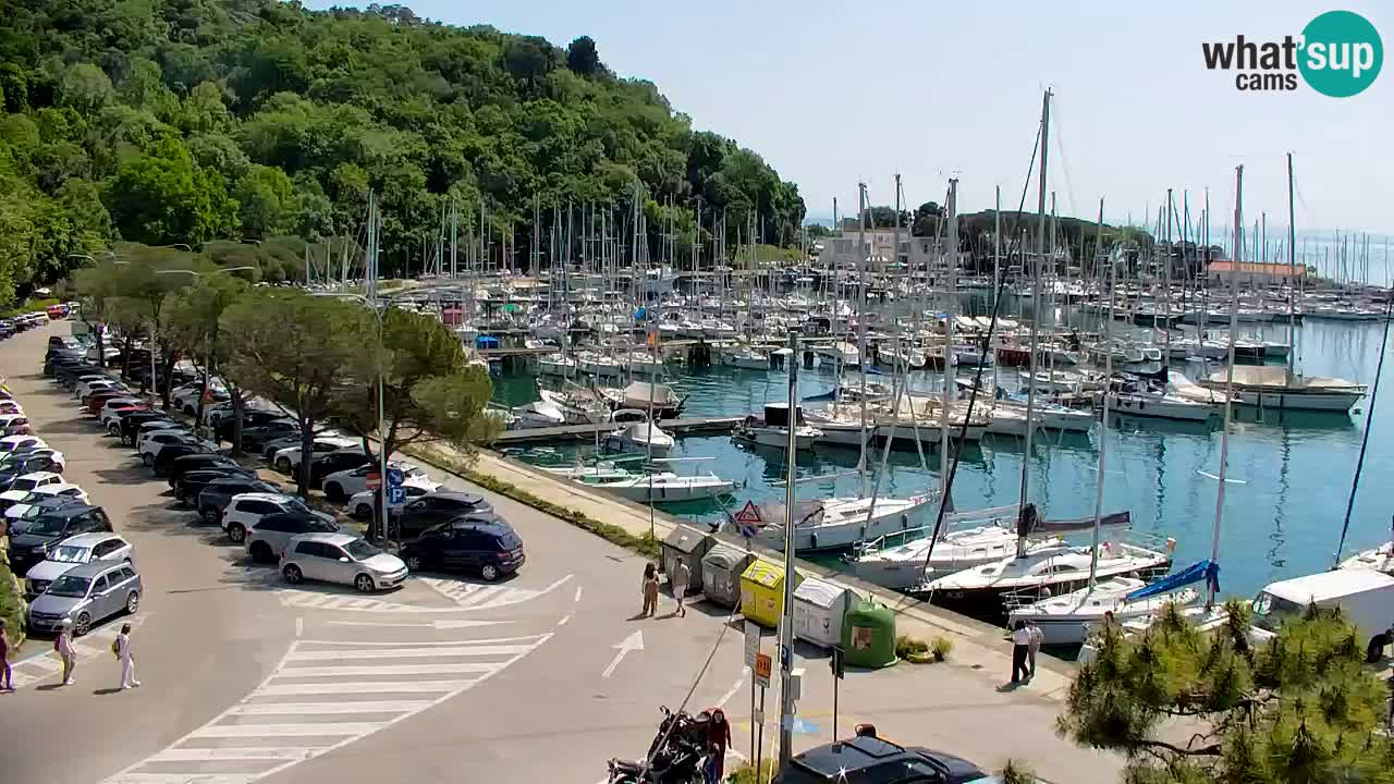 Webcam Sistiana – Pogled na marinu i zaljev