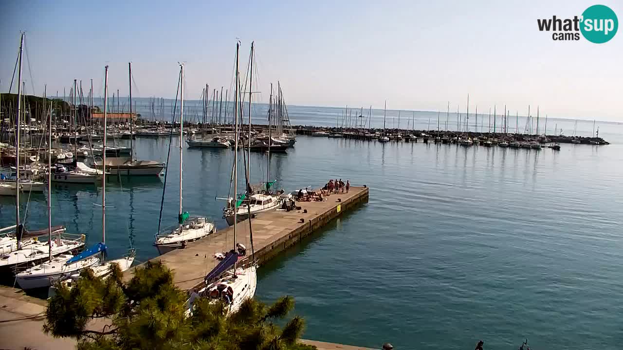 Webcam Sistiana – Marina and Bay Live View