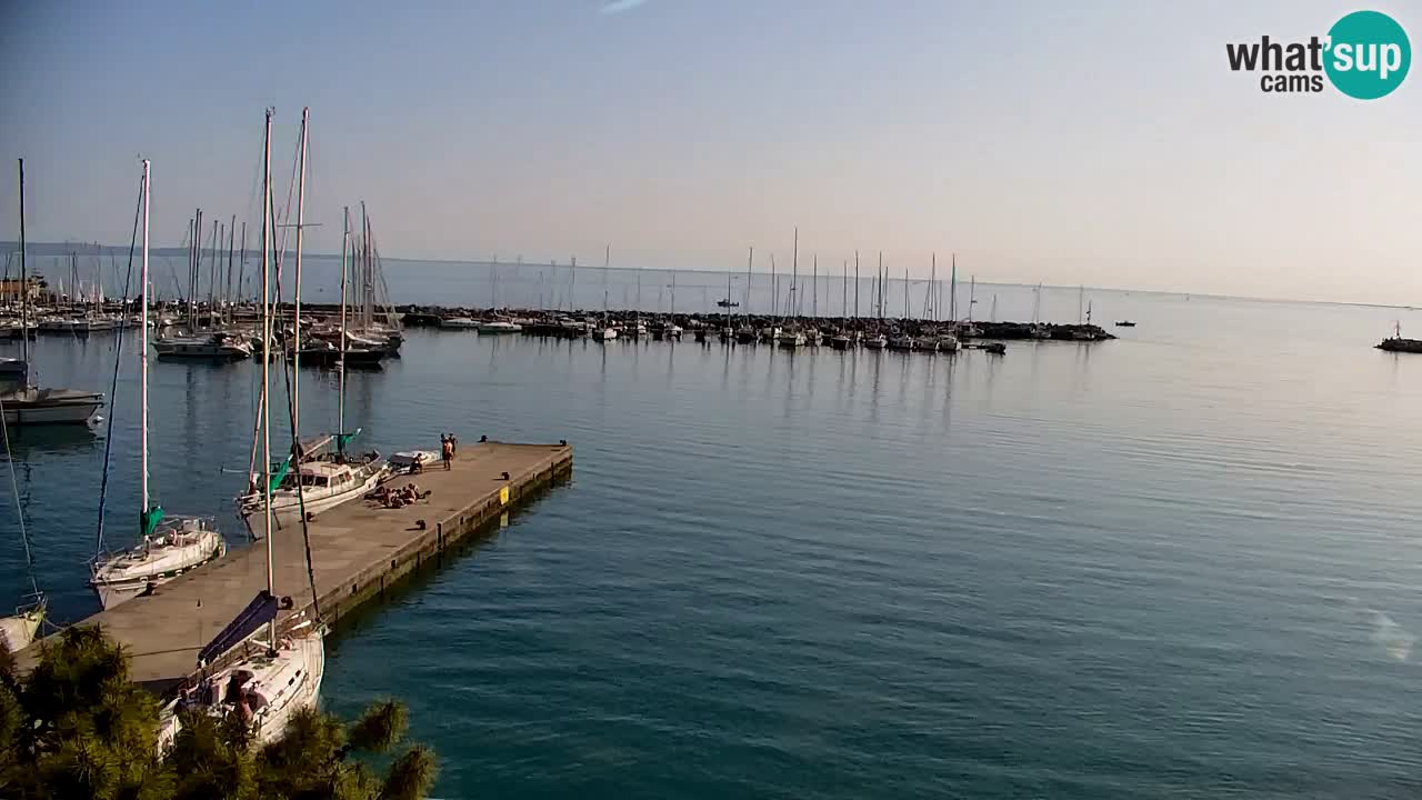Webcam Sistiana – Marina and Bay Live View