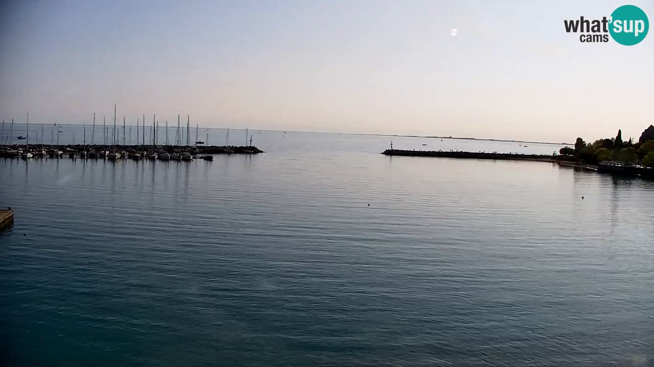 Webcam Sistiana – Vista sobre la marina y la bahía