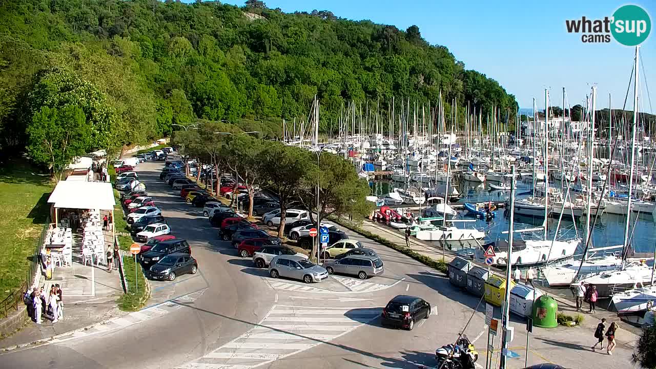 Webcam Sistiana – Marina and Bay Live View