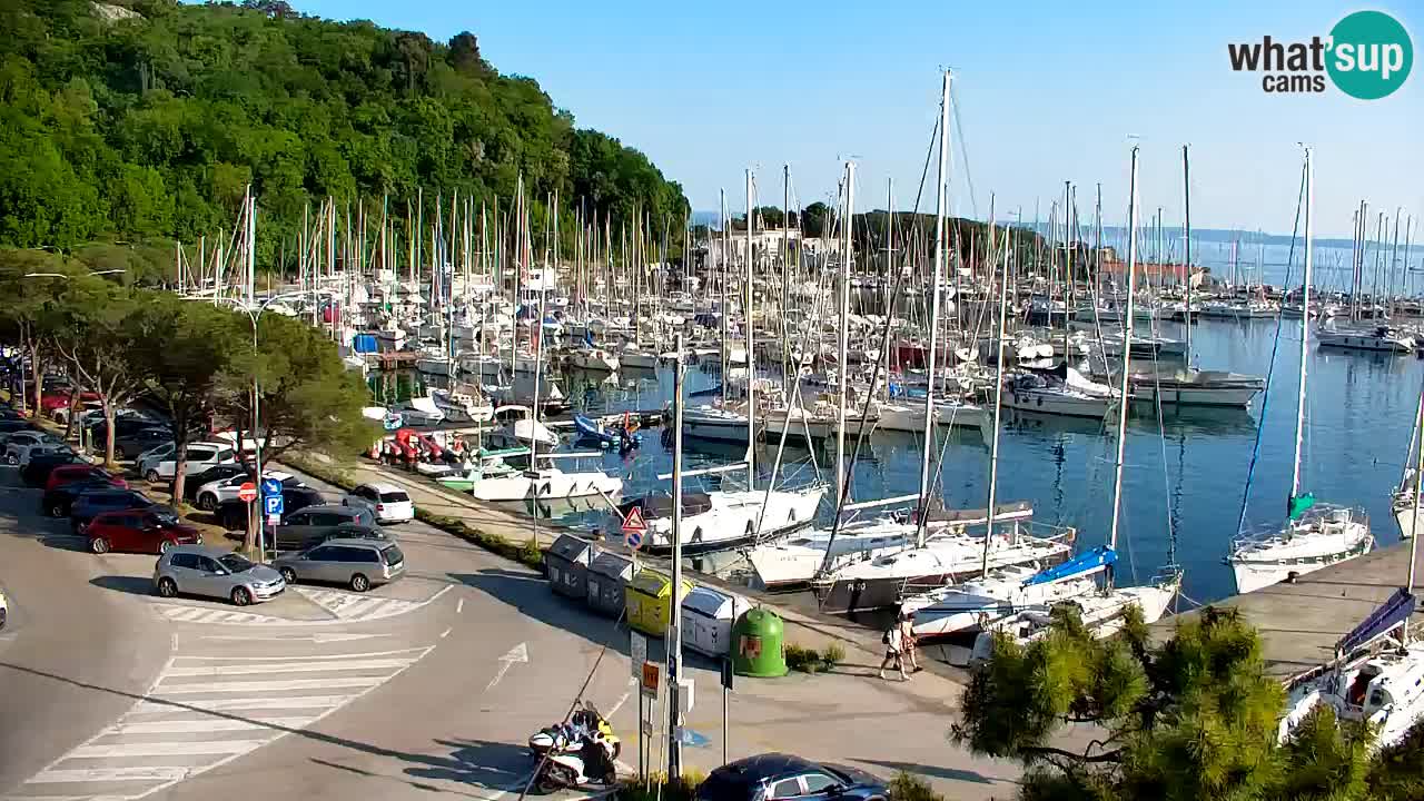 Webcam Sistiana – Marina and Bay Live View