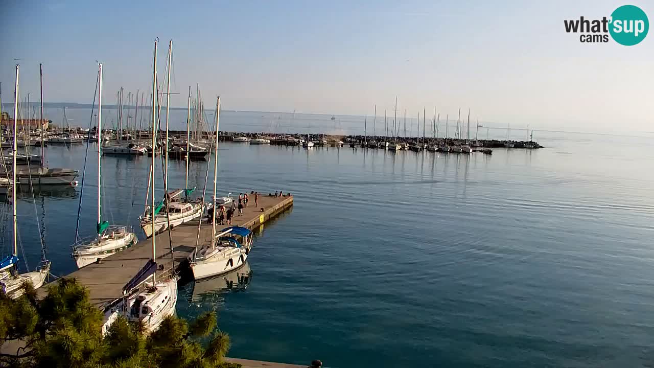 Webcam Sistiana – Marina and Bay Live View