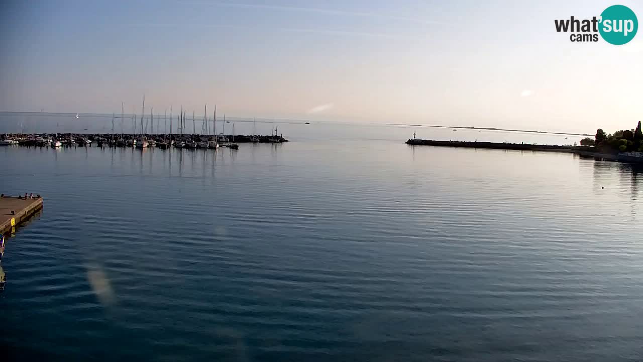 Webcam Sistiana – Vista sobre la marina y la bahía