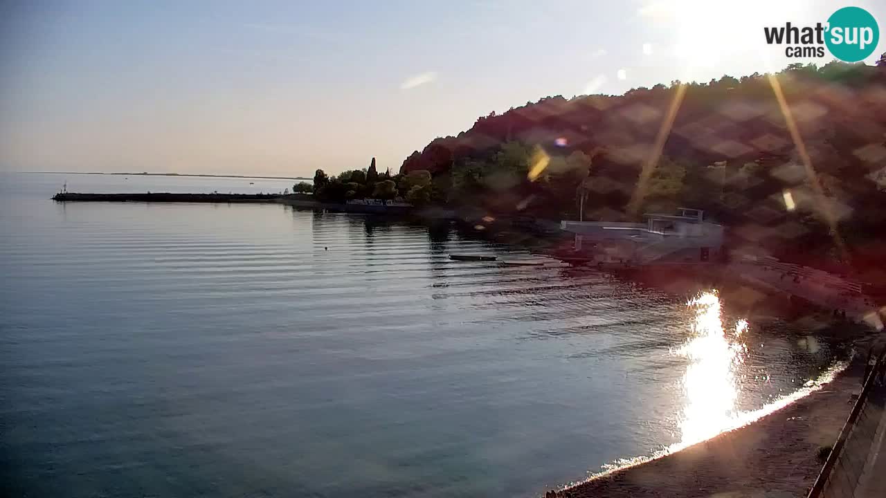 Webcam Sistiana – Vista sulla marina e sulla baia