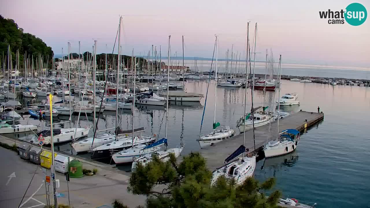 Webcam Sistiana – Marina and Bay Live View