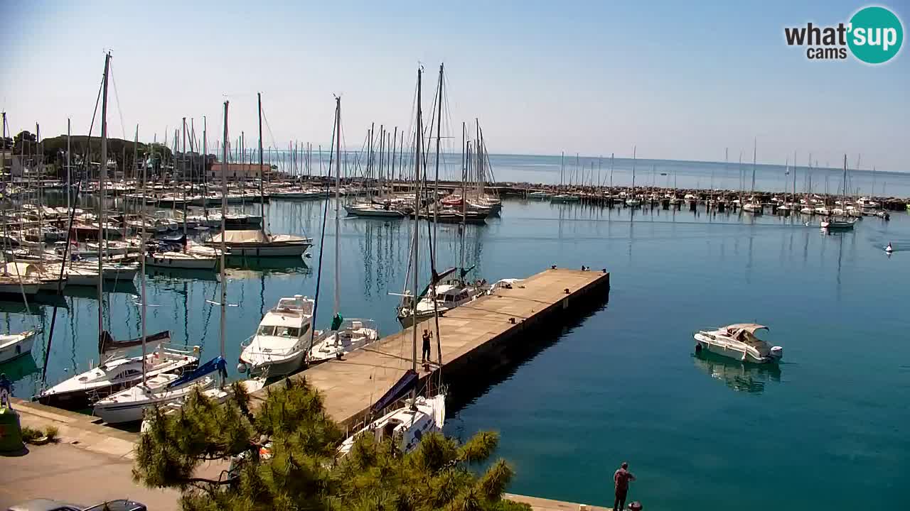 Webcam Sistiana – Vista sulla marina e sulla baia