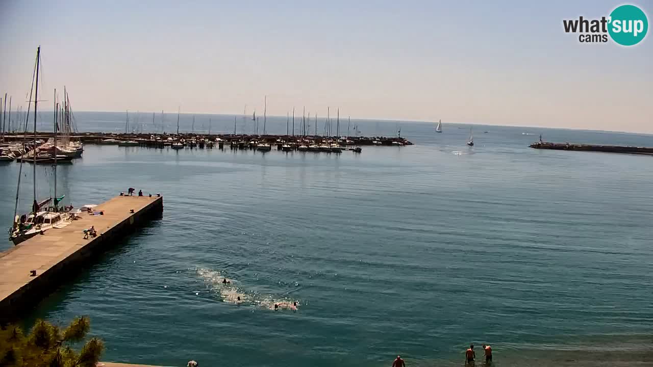 Spletna kamera Sesljan (Sistiana) – Pogled na marino in zaliv