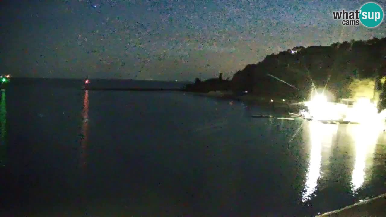 Webcam Sistiana – Marina and Bay Live View