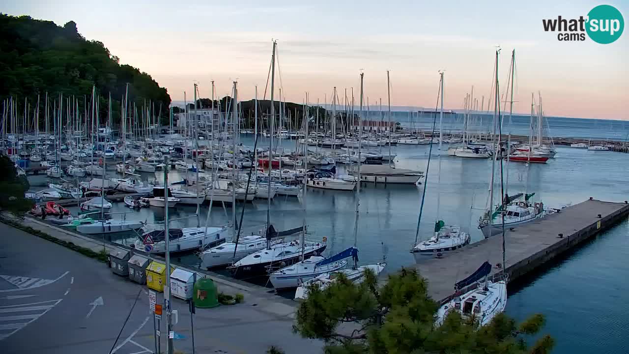 Webcam Sistiana – Marina and Bay Live View