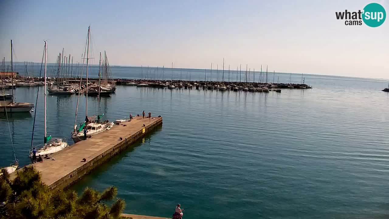 Webcam Sistiana – Marina and Bay Live View