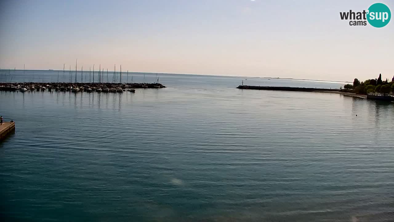 Webcam Sistiana – Marina and Bay Live View