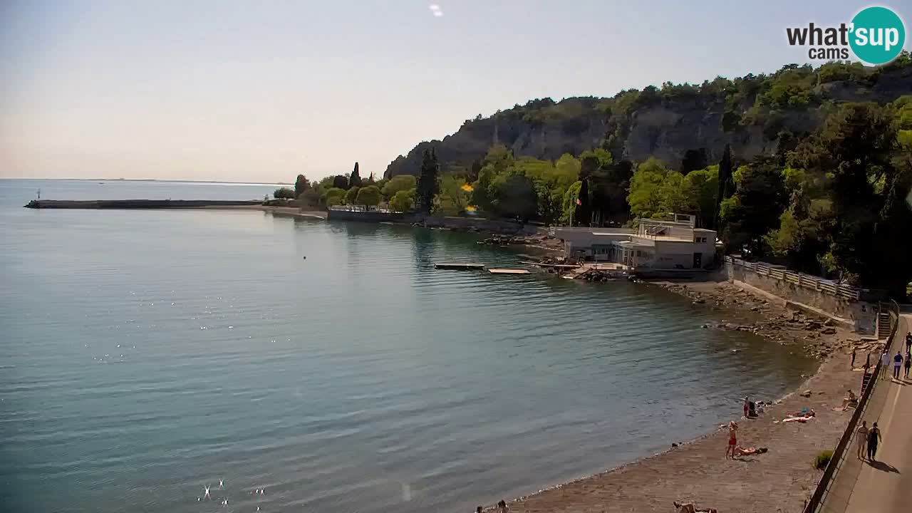 Spletna kamera Sesljan (Sistiana) – Pogled na marino in zaliv