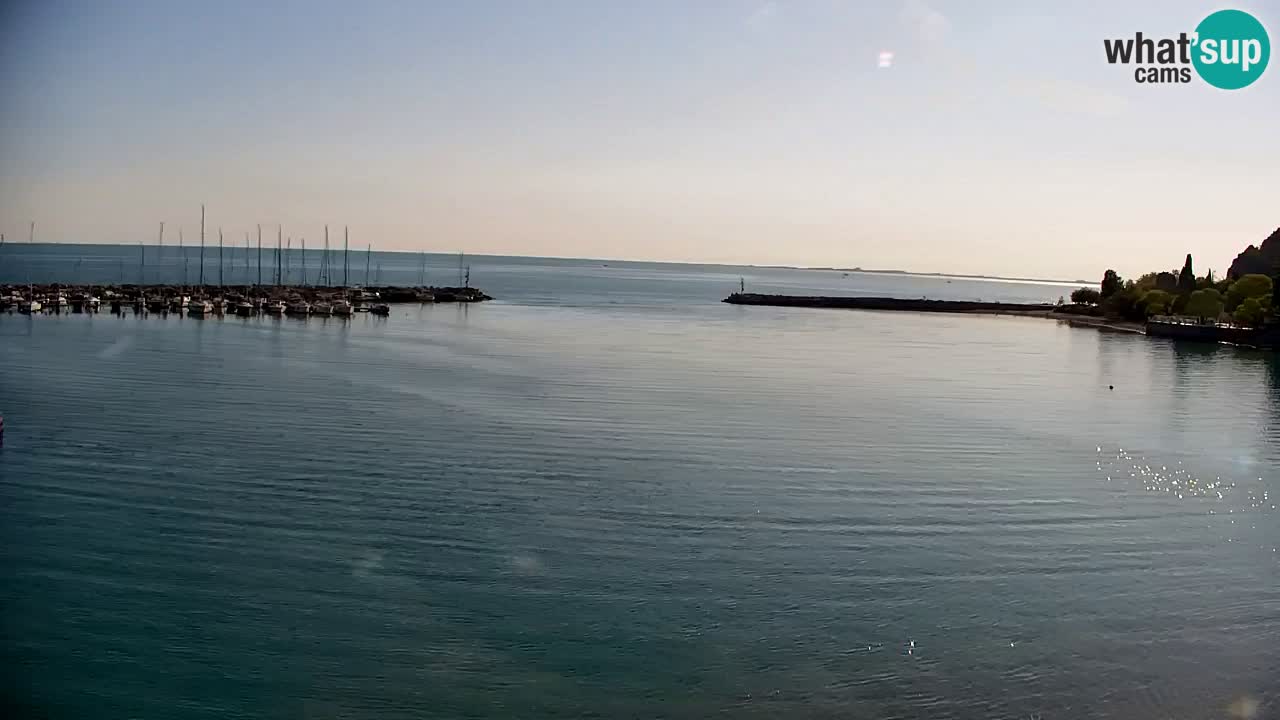 Webcam Sistiana – Marina and Bay Live View