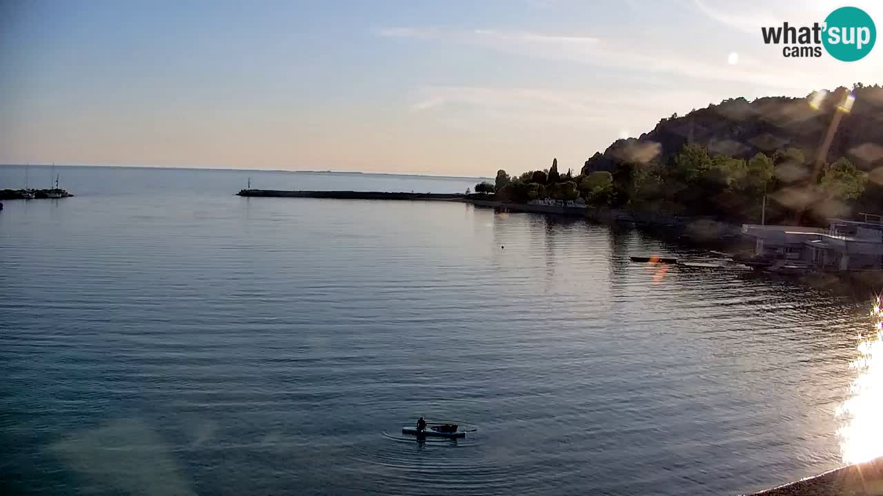 Webcam Sistiana – Pogled na marinu i zaljev