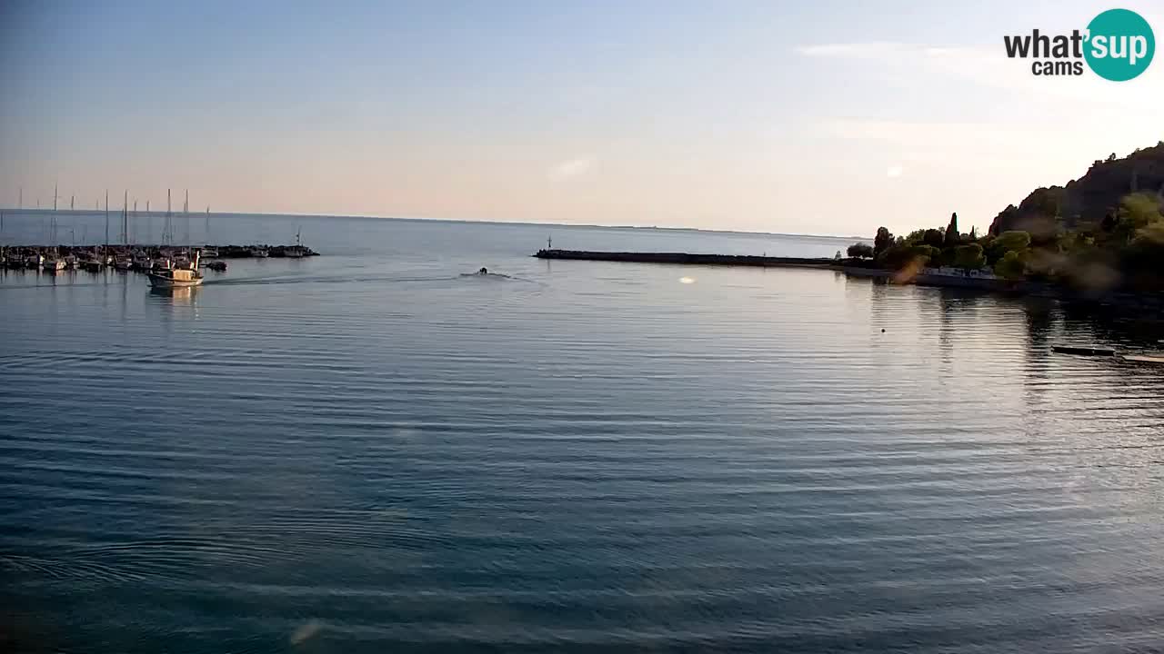 Spletna kamera Sesljan (Sistiana) – Pogled na marino in zaliv