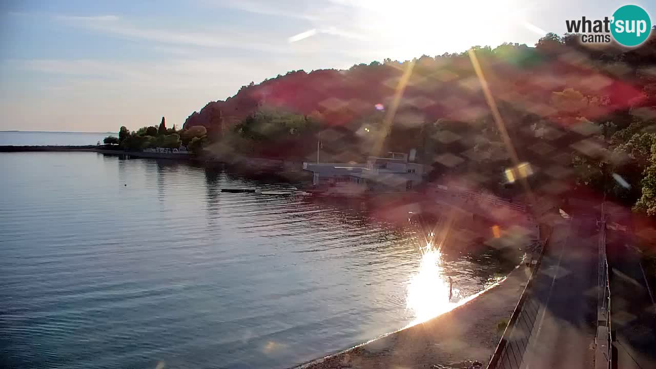 Webcam Sistiana – Vista sobre la marina y la bahía