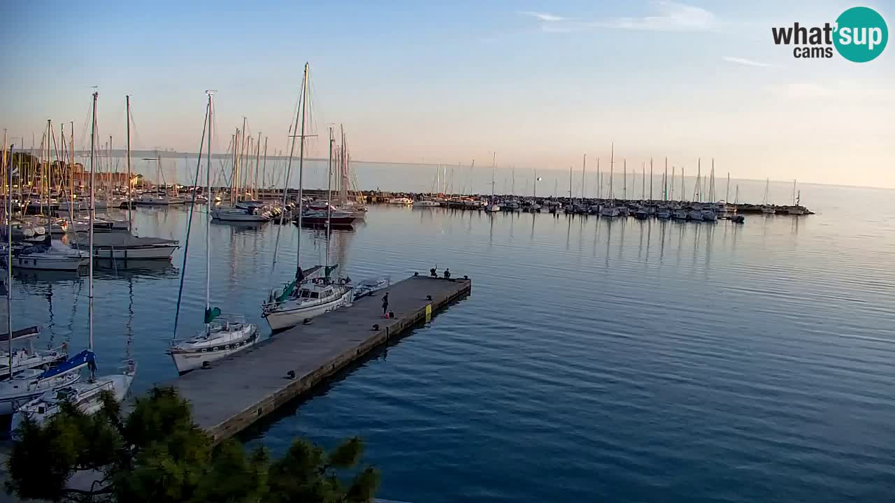 Webcam Sistiana – Marina and Bay Live View