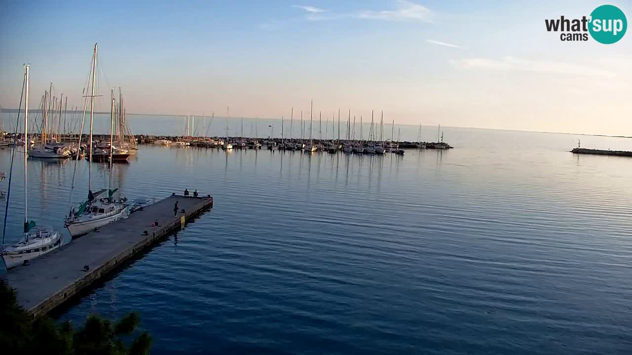 Webcam Sistiana – Pogled na marinu i zaljev