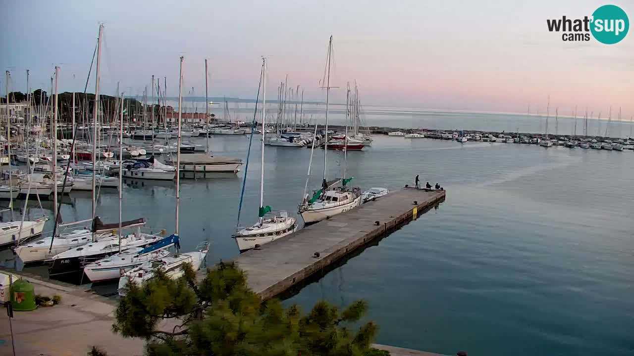 Webcam Sistiana – Marina and Bay Live View