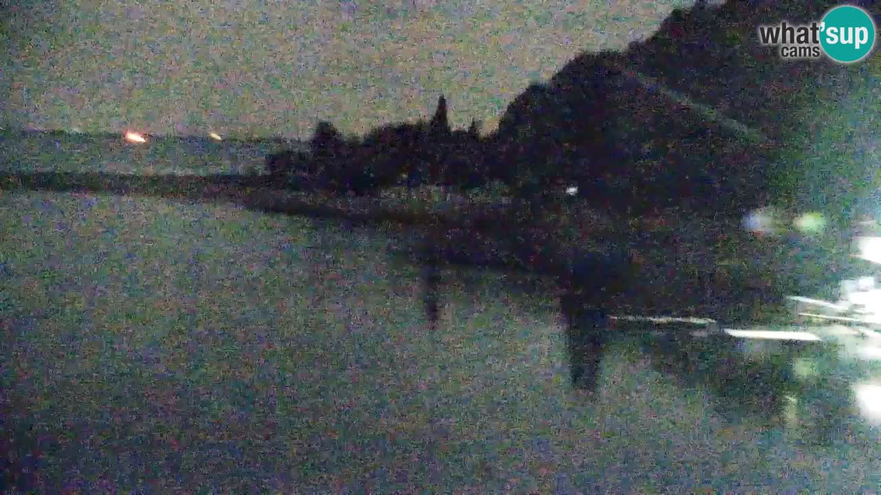 Spletna kamera Sesljan (Sistiana) – Pogled na marino in zaliv