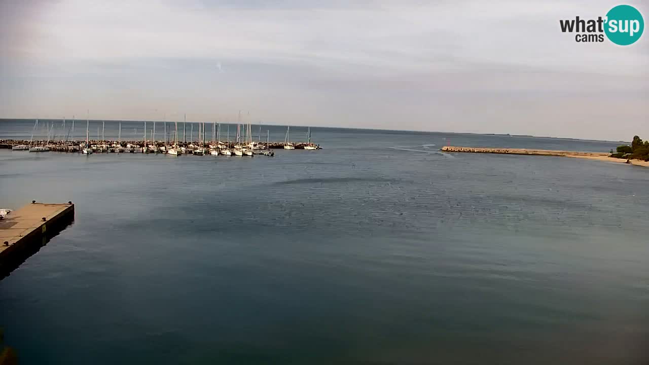 Spletna kamera Sesljan (Sistiana) – Pogled na marino in zaliv