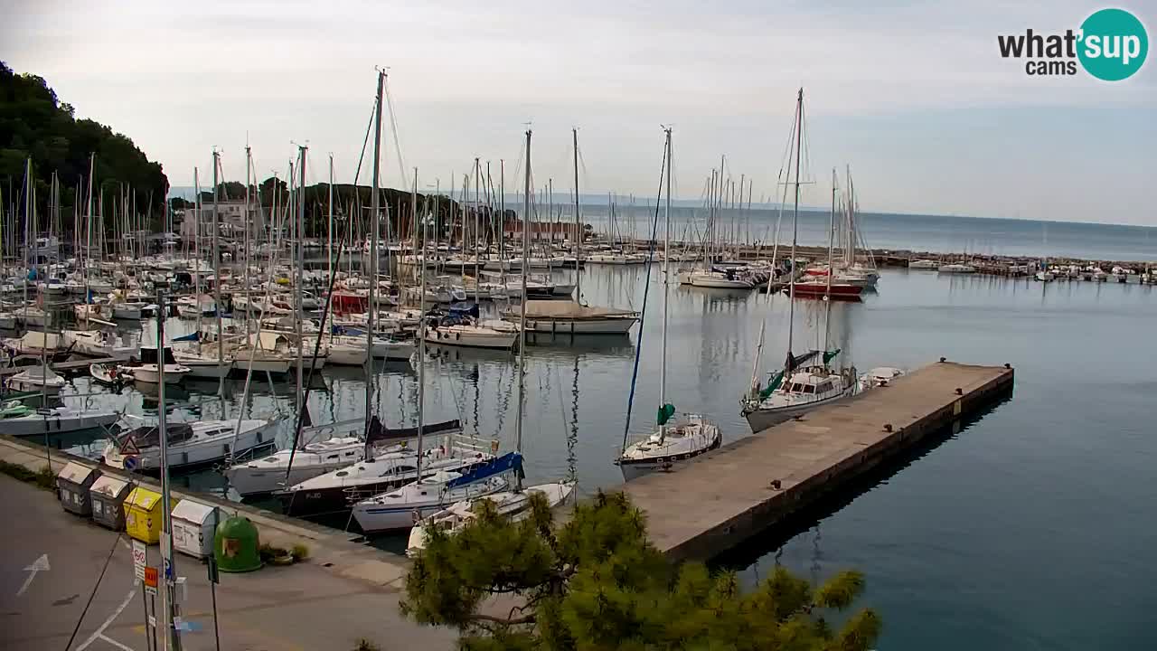 Webcam Sistiana – Vista sulla marina e sulla baia