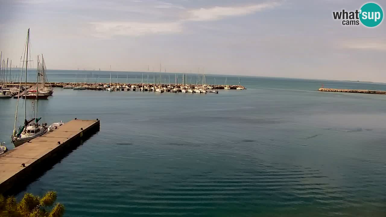 Webcam Sistiana – Blick auf Marina und Bucht