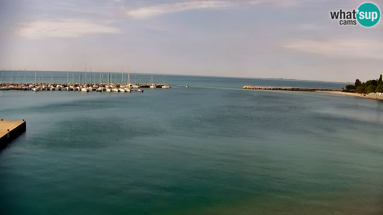Spletna kamera Sesljan (Sistiana) – Pogled na marino in zaliv