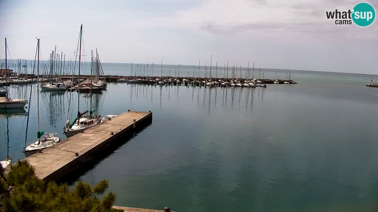Webcam Sistiana – Marina and Bay Live View
