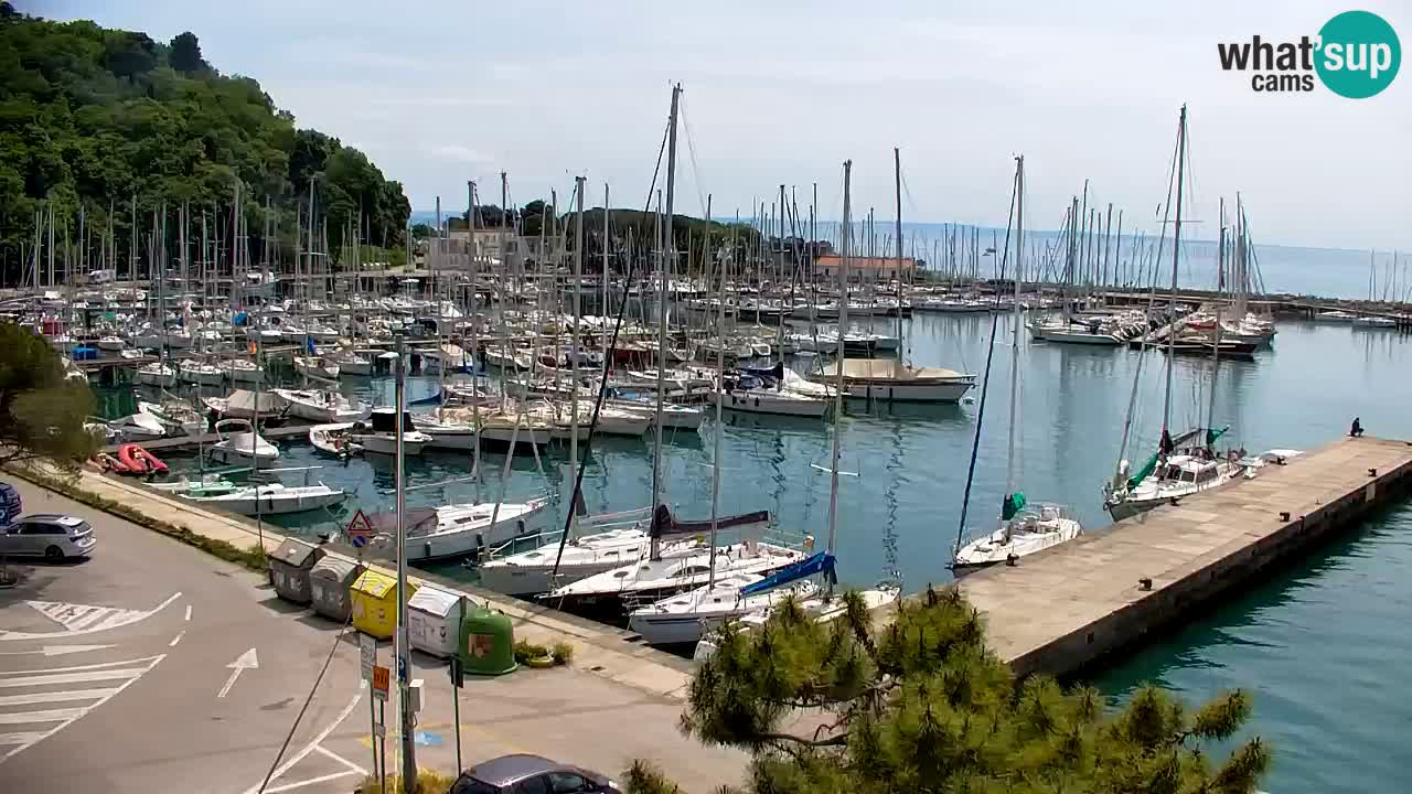Webcam Sistiana – Marina and Bay Live View