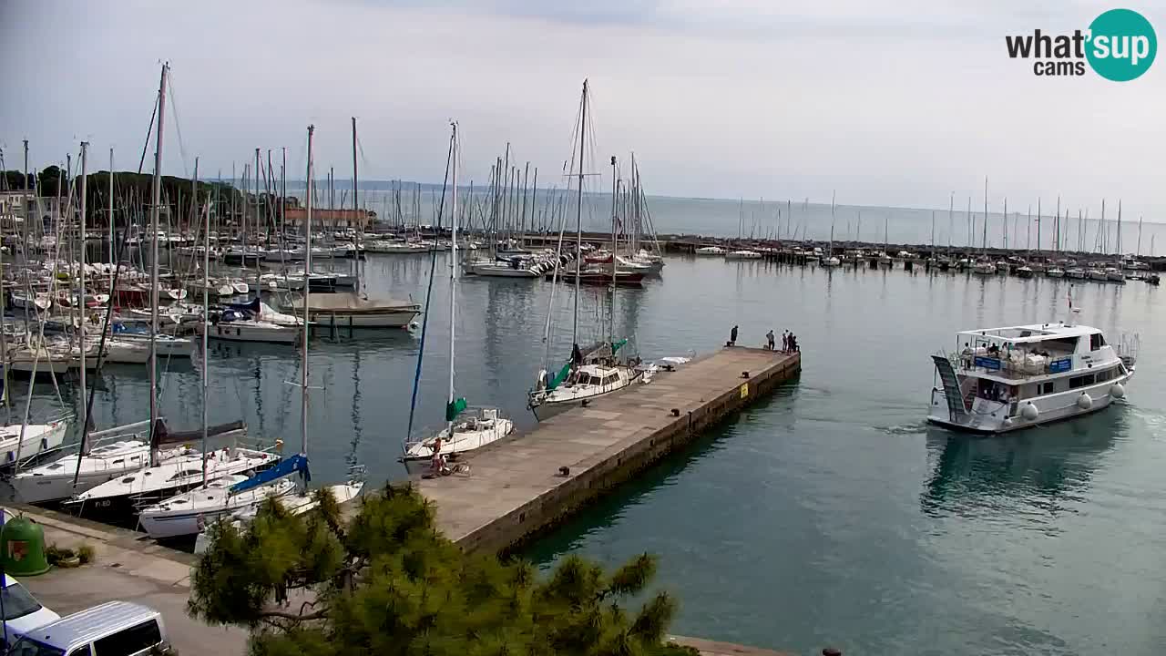 Webcam Sistiana – Vista sobre la marina y la bahía