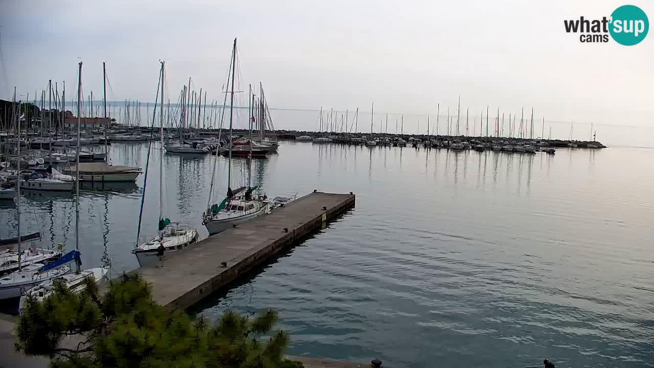 Spletna kamera Sesljan (Sistiana) – Pogled na marino in zaliv