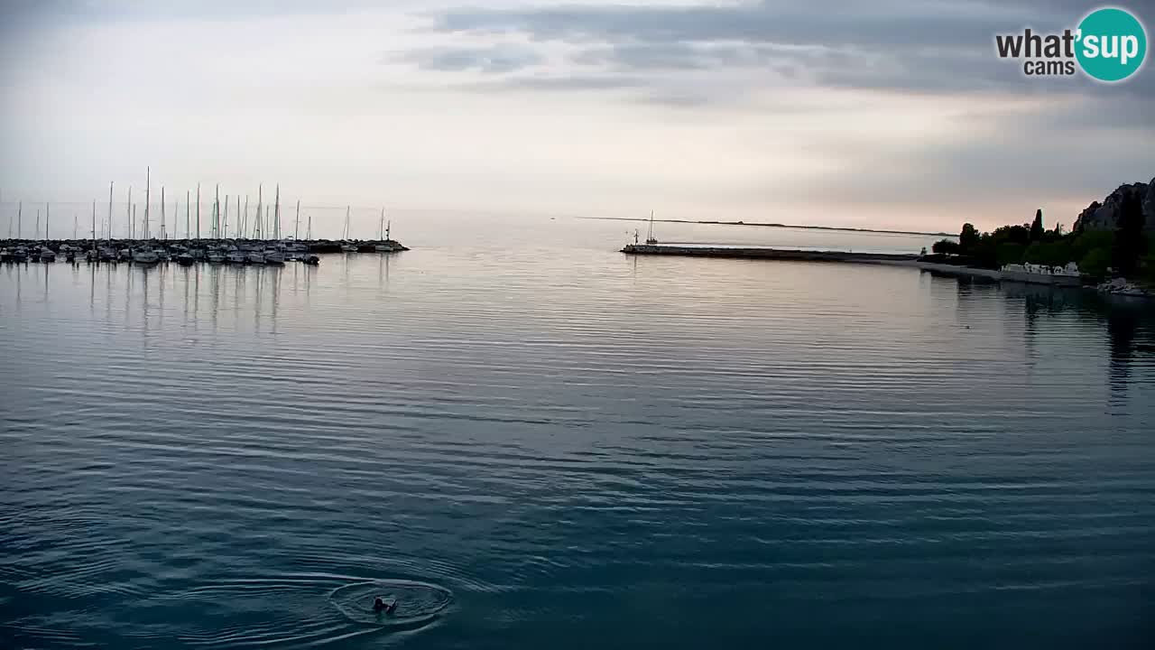 Webcam Sistiana – Vista sobre la marina y la bahía