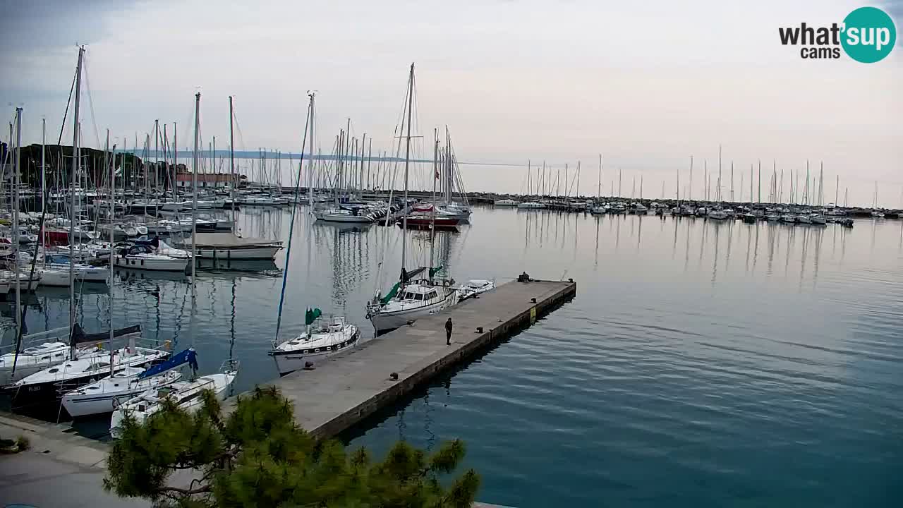 Webcam Sistiana – Vue sur la marina et la baie