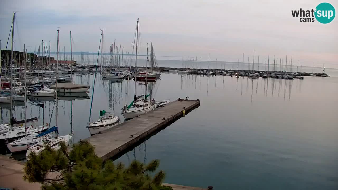 Webcam Sistiana – Vista sobre la marina y la bahía