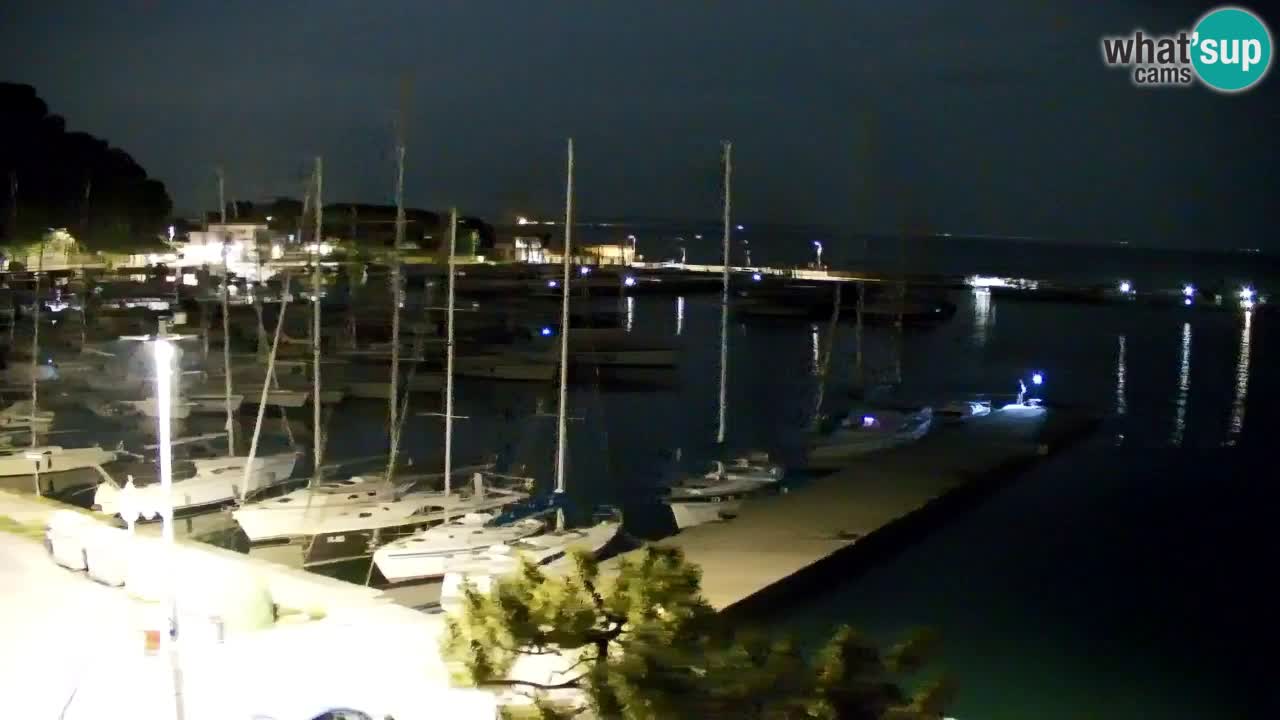 Webcam Sistiana – Vista sobre la marina y la bahía