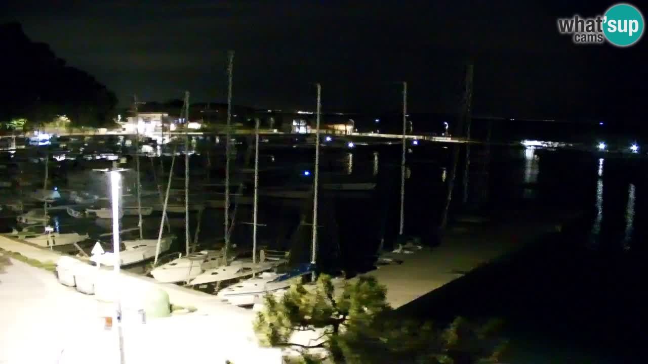 Webcam Sistiana – Marina and Bay Live View