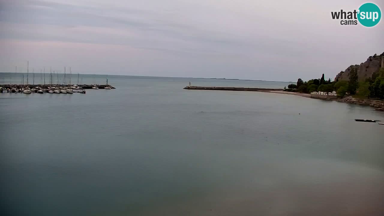 Spletna kamera Sesljan (Sistiana) – Pogled na marino in zaliv