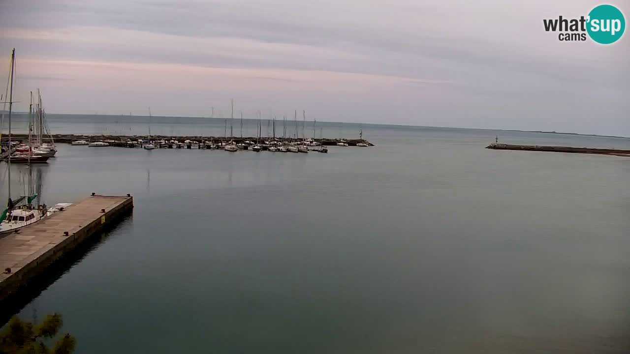 Webcam Sistiana – Vista sulla marina e sulla baia