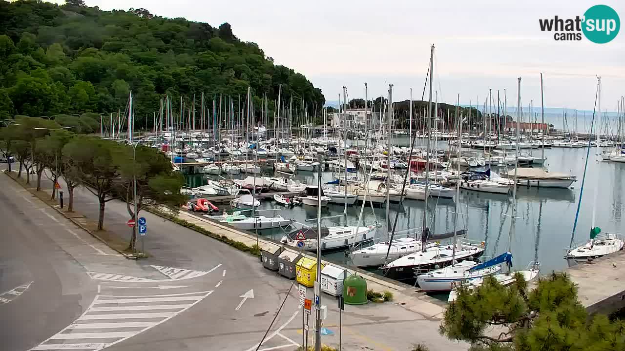 Webcam Sistiana – Vista sobre la marina y la bahía