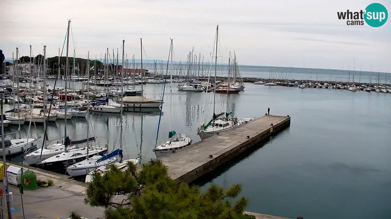 Webcam Sistiana – Blick auf Marina und Bucht