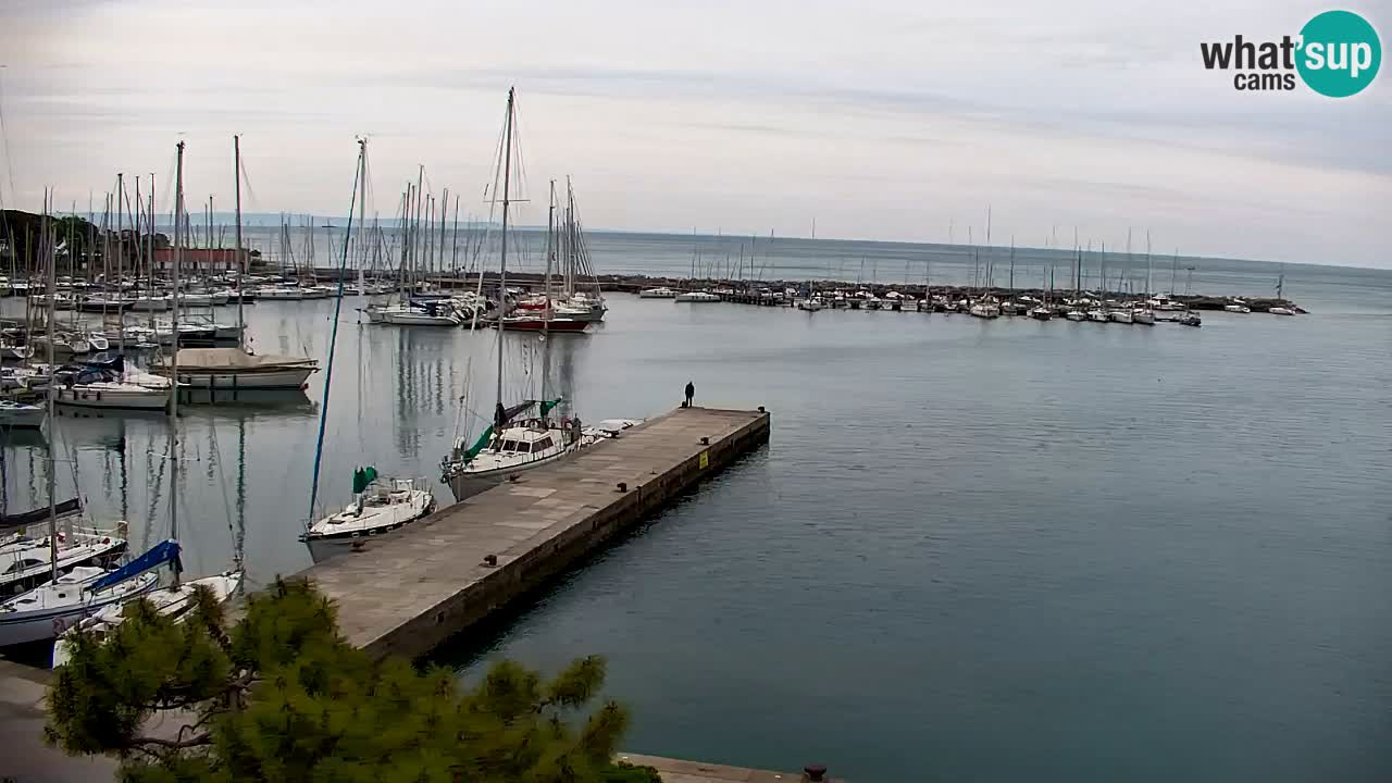 Spletna kamera Sesljan (Sistiana) – Pogled na marino in zaliv