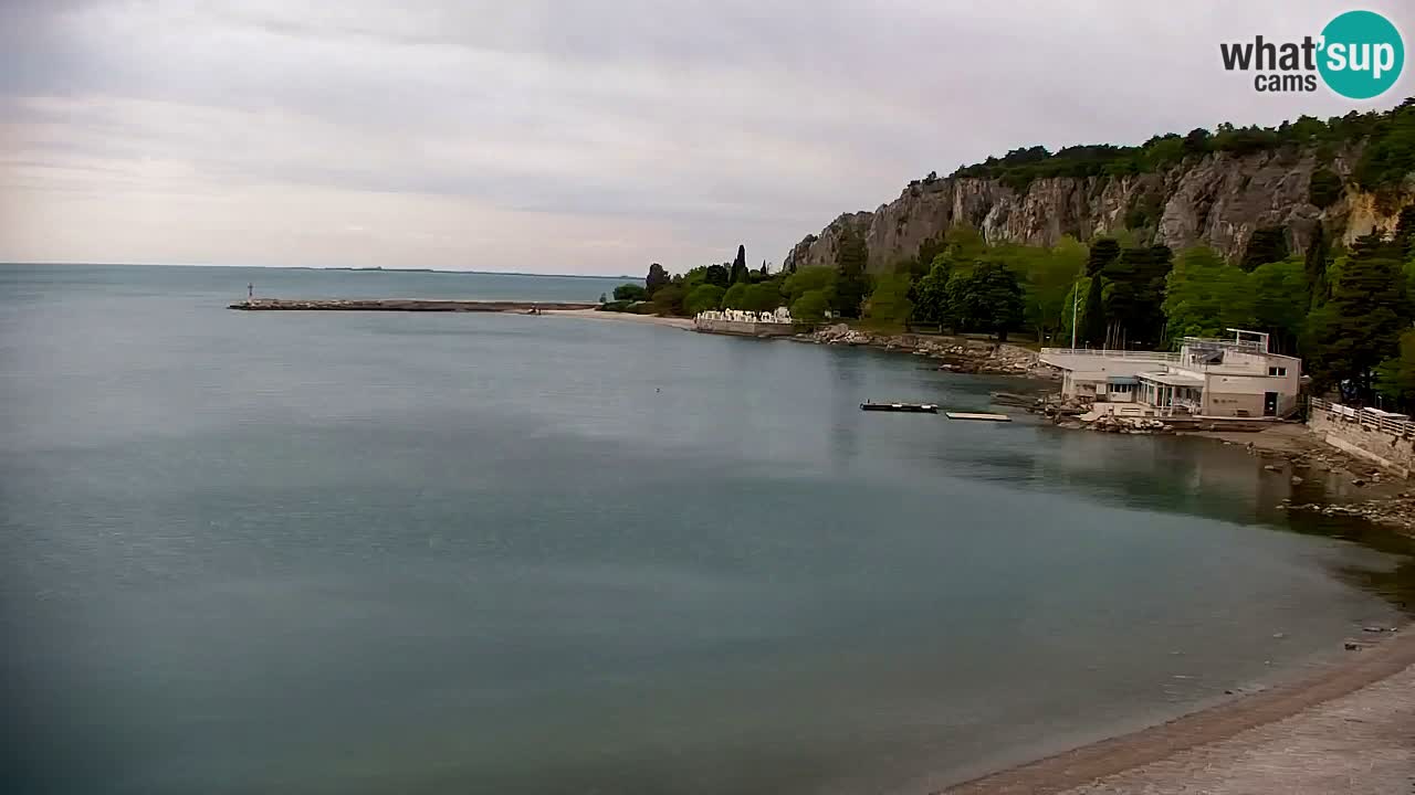 Webcam Sistiana – Pogled na marinu i zaljev