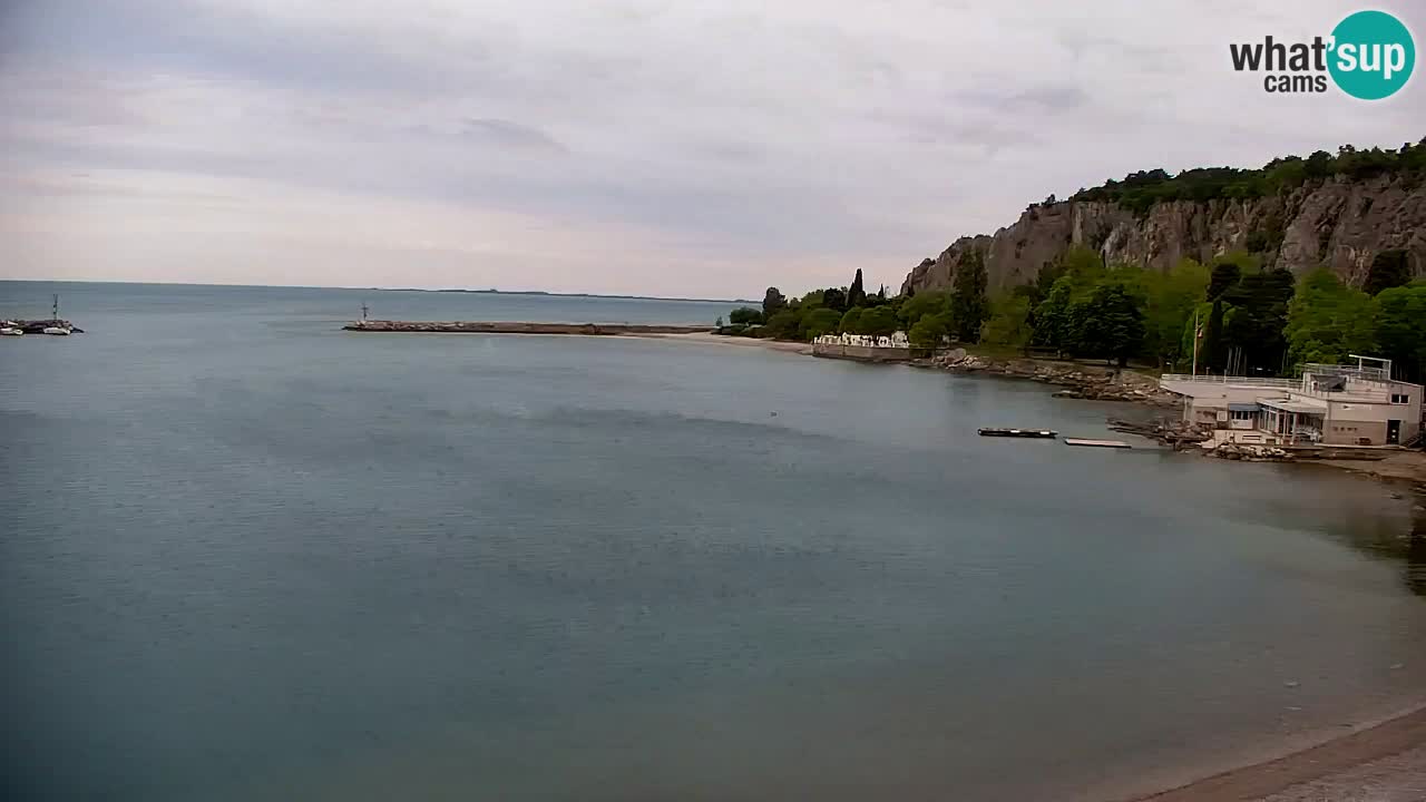 Webcam Sistiana – Marina and Bay Live View