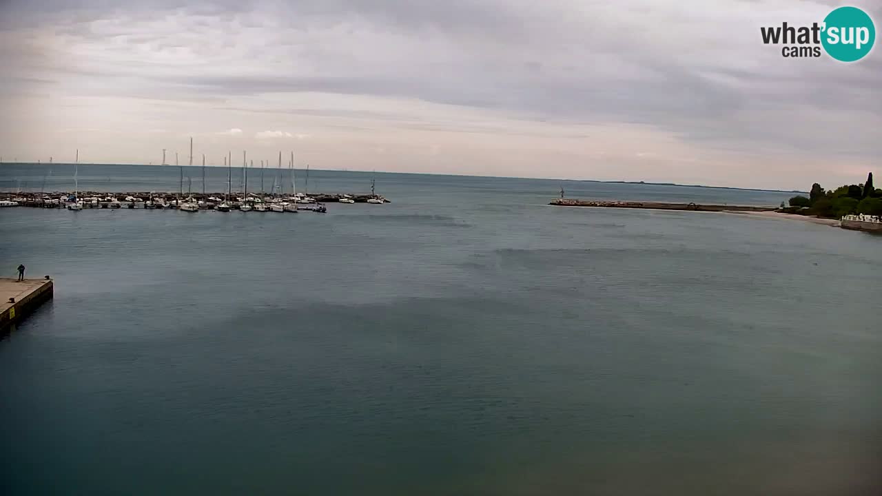 Webcam Sistiana – Pogled na marinu i zaljev